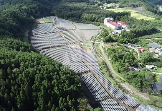 春回大地，oety歐億體育見證日本福島重煥生機