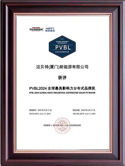 oety歐億體育PVBL2024全球最具影響力分布式品牌獎獎牌